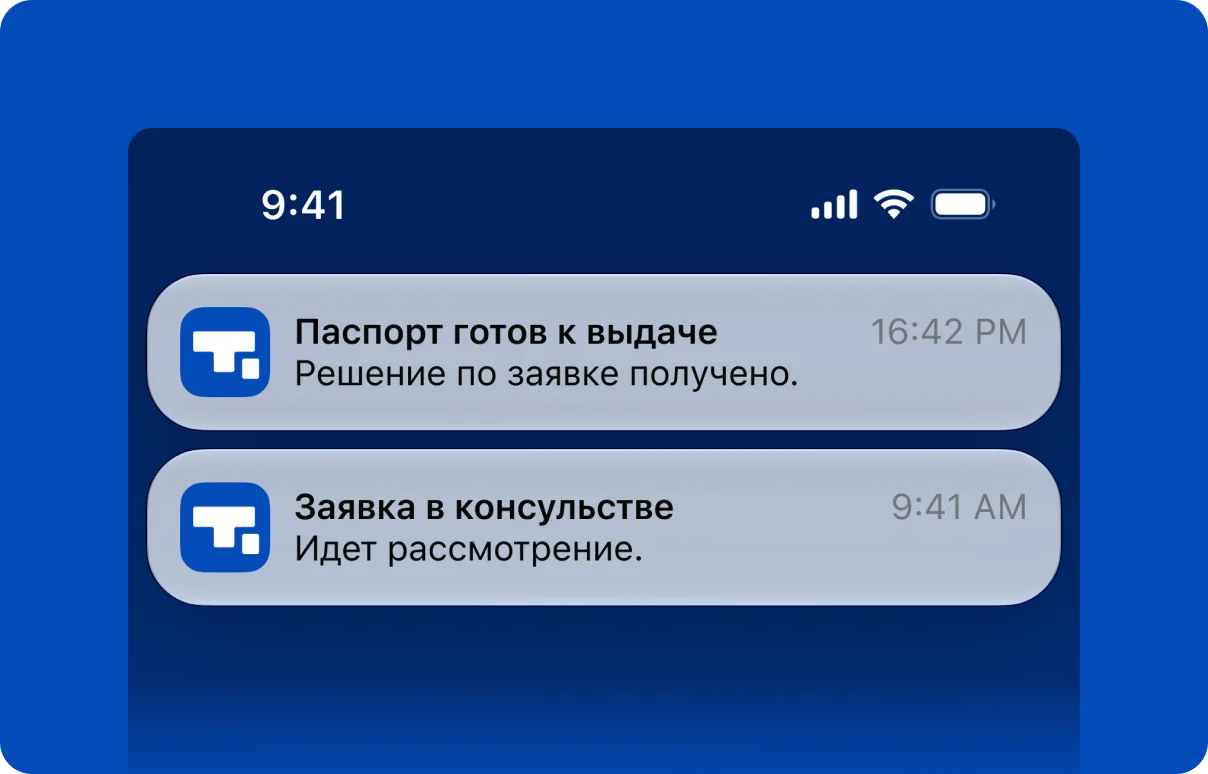 Экран статуса заявки на визу с уведомлениями об изменениях